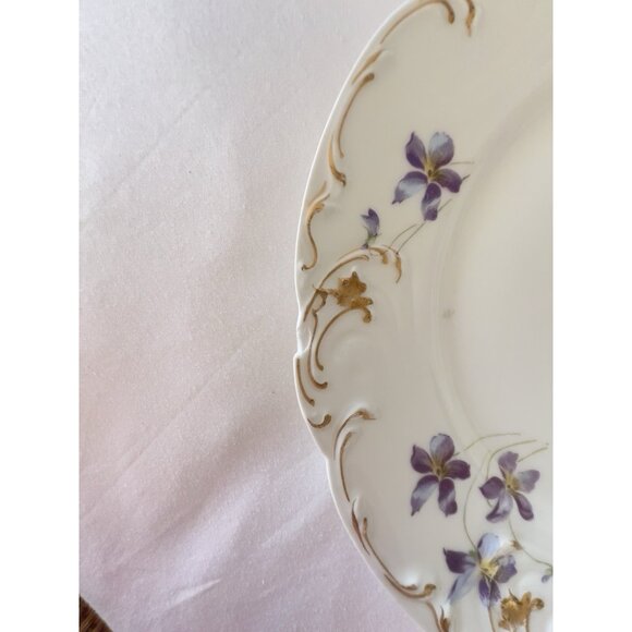 ANTIQUE Set 6 HAVILAND LIMOGES Salad plates Sch 453D Violets Daisy Handpainted - Picture 9 of 16